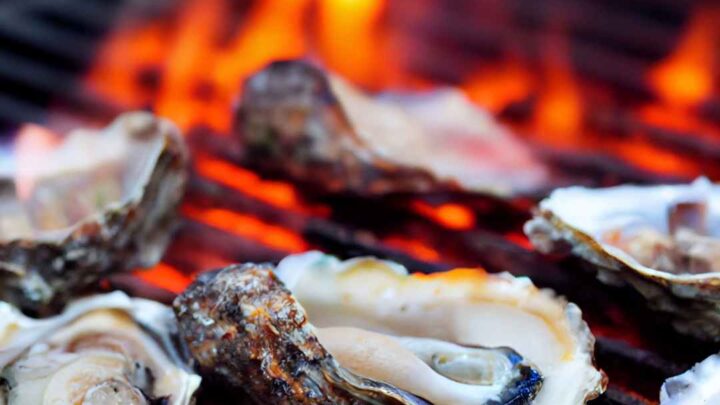 BBQ oysters on a grill