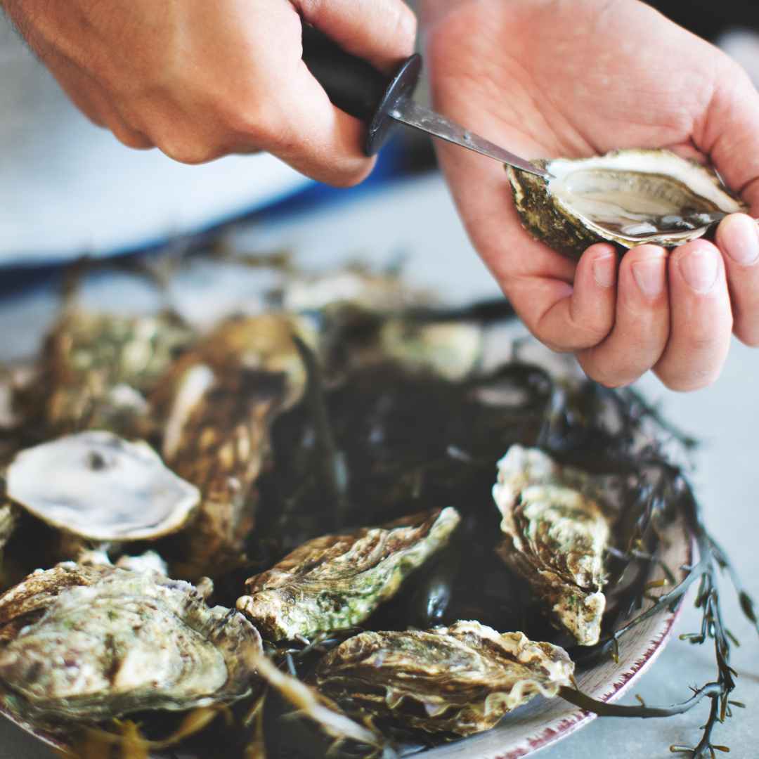 opening oysters