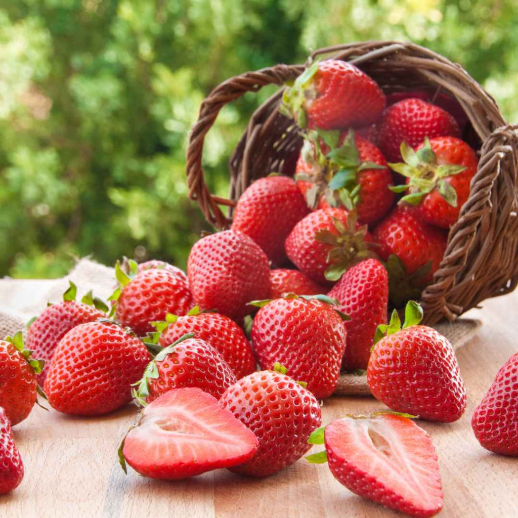 strawberry bread 2