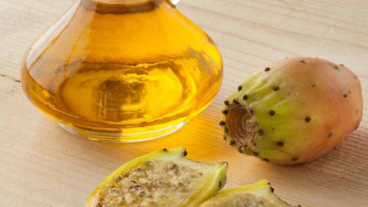 prickly pear syrup