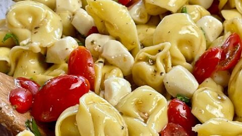 assembled tortellini salad