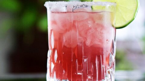 prickly pear margarita