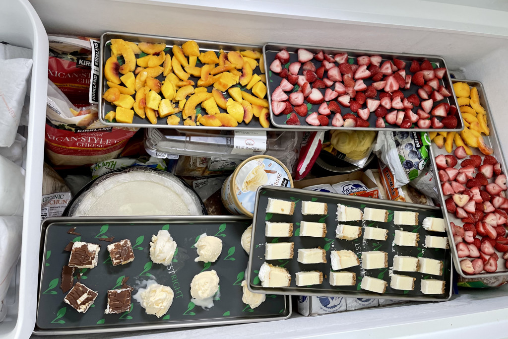 Essential Home Freeze Drying Equipment 5 freeze dry trays in freezer