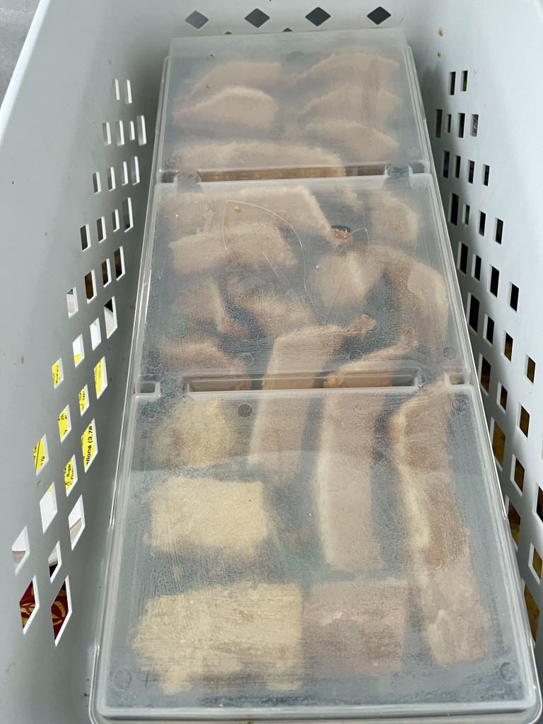 Essential Home Freeze Drying Equipment 6 pre freezing pumpkin pie for freeze drying