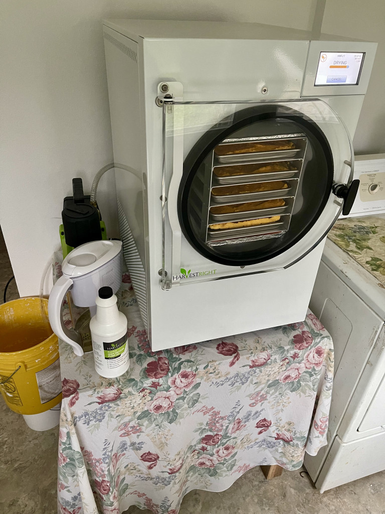 how does freeze drying work