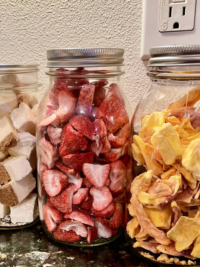 freeze dried snacks