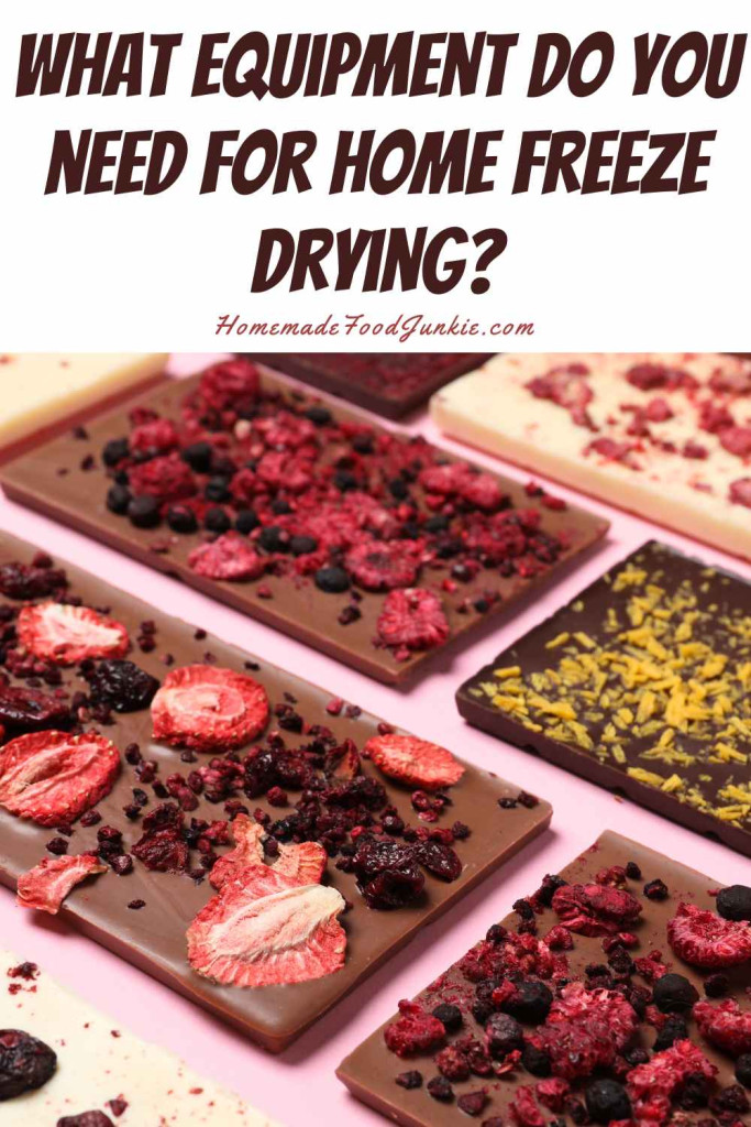 Essential Home Freeze Drying Equipment 10 what equipment do you need for home freeze drying