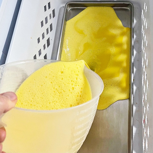 pre-freezing eggs for freeze drying