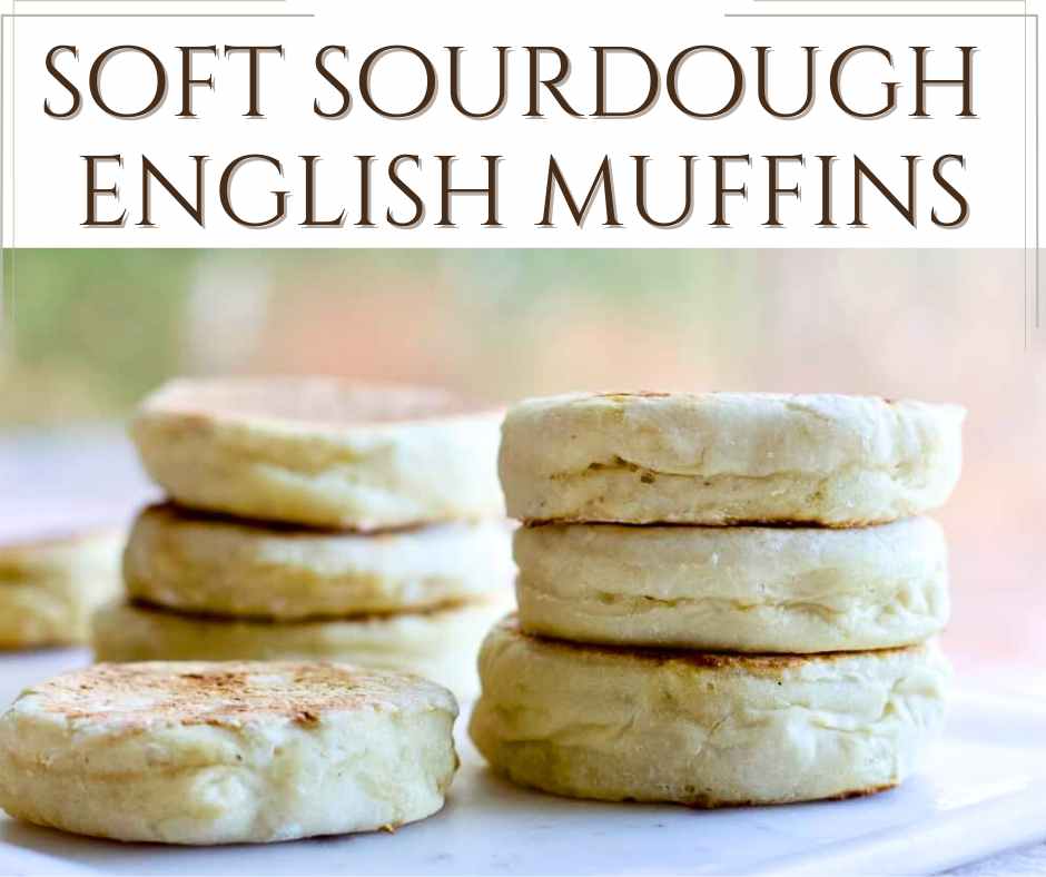 fb post soft sourdough english muffins