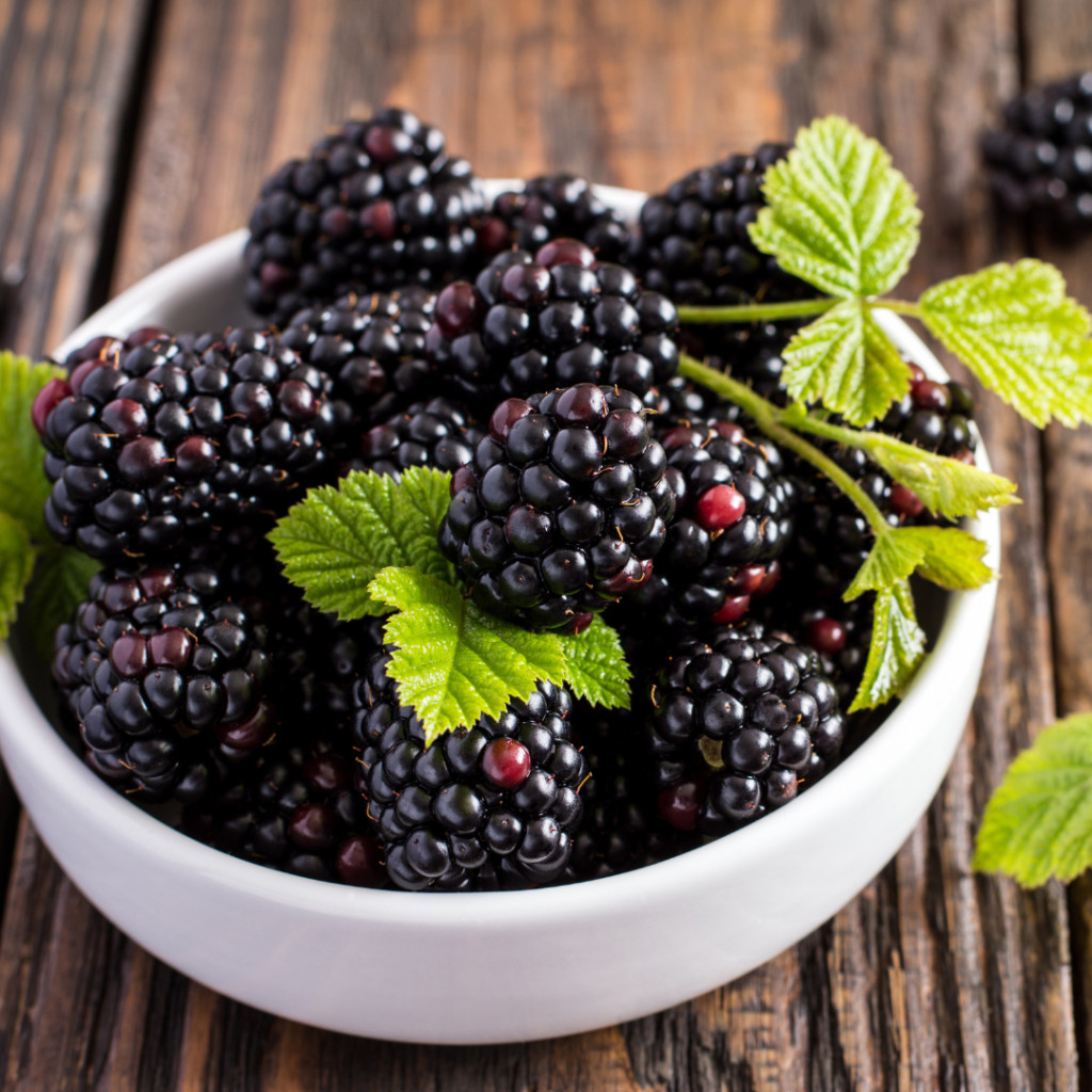 fresh blackberries in a bowl