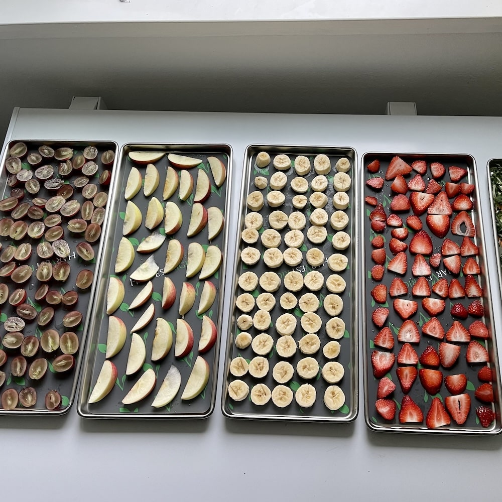 fruit on freeze dryer trays