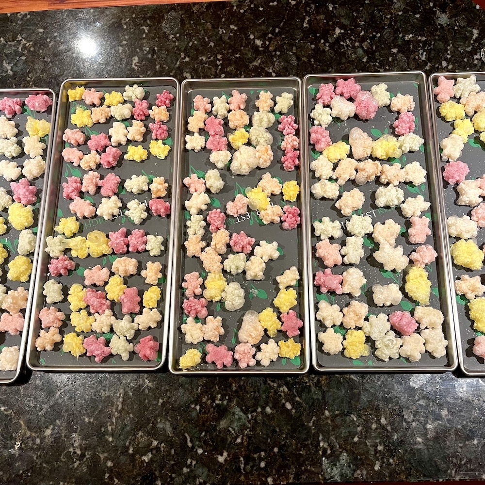 freeze dried gummy bears