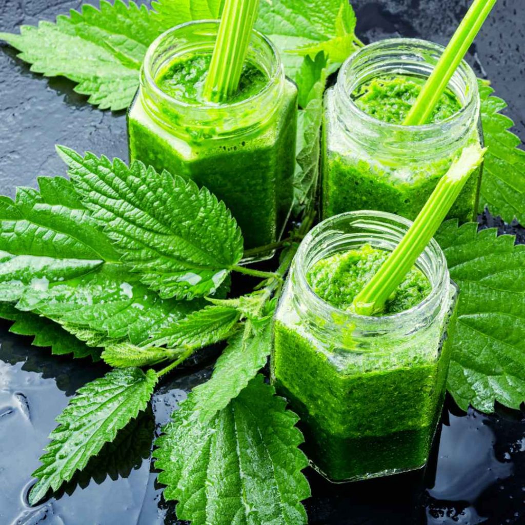 fresh nettle juice