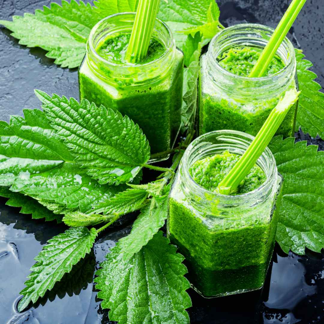 Delicious Fresh Nettle Juice