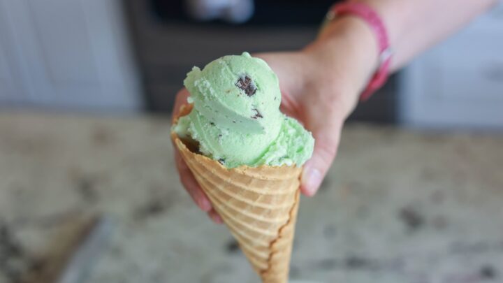 mint chocolate chip ice cream
