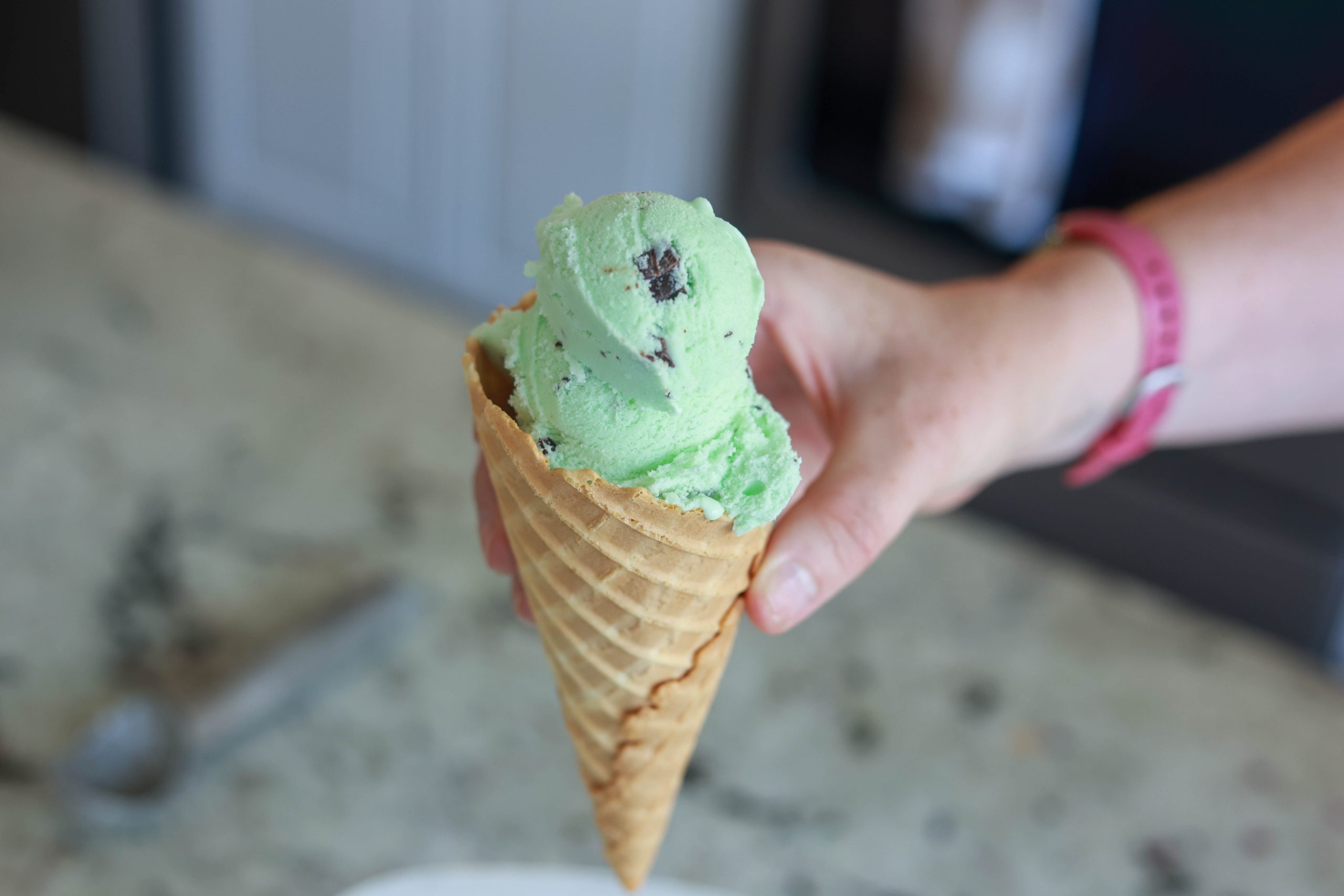 homemade mint chocolate chip ice cream
