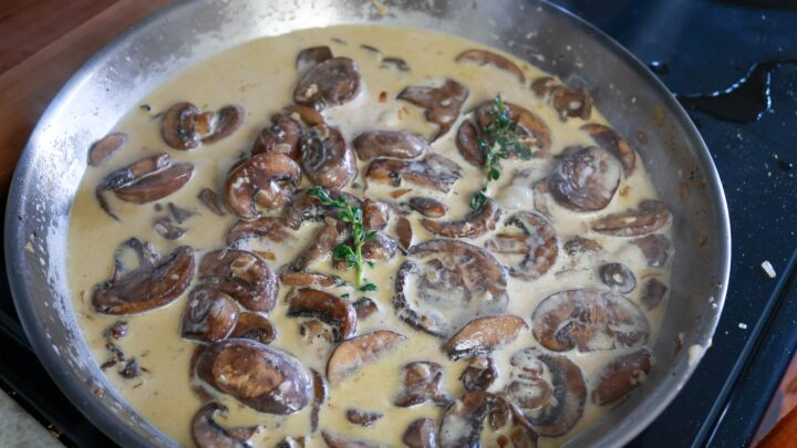 mushrooms in a cream sauce