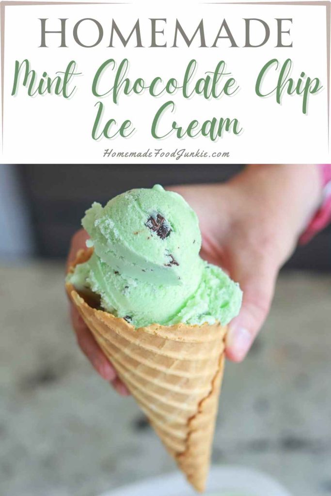 mint chocolate chip ice cream