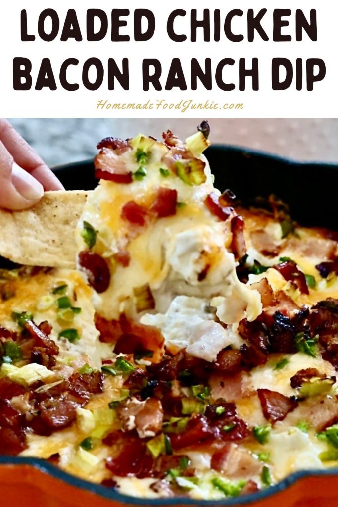 Loaded Chicken Bacon Ranch Dip Recipe 7 loaded chicken bacon ranch dip