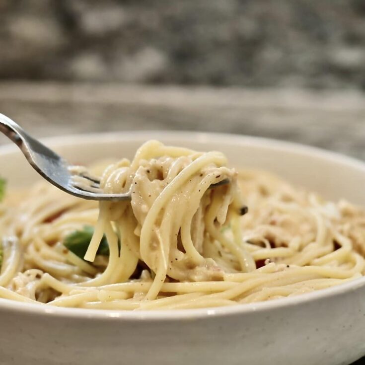Creamy Crockpot Chicken Dinner