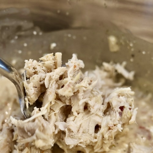 shredded chicken