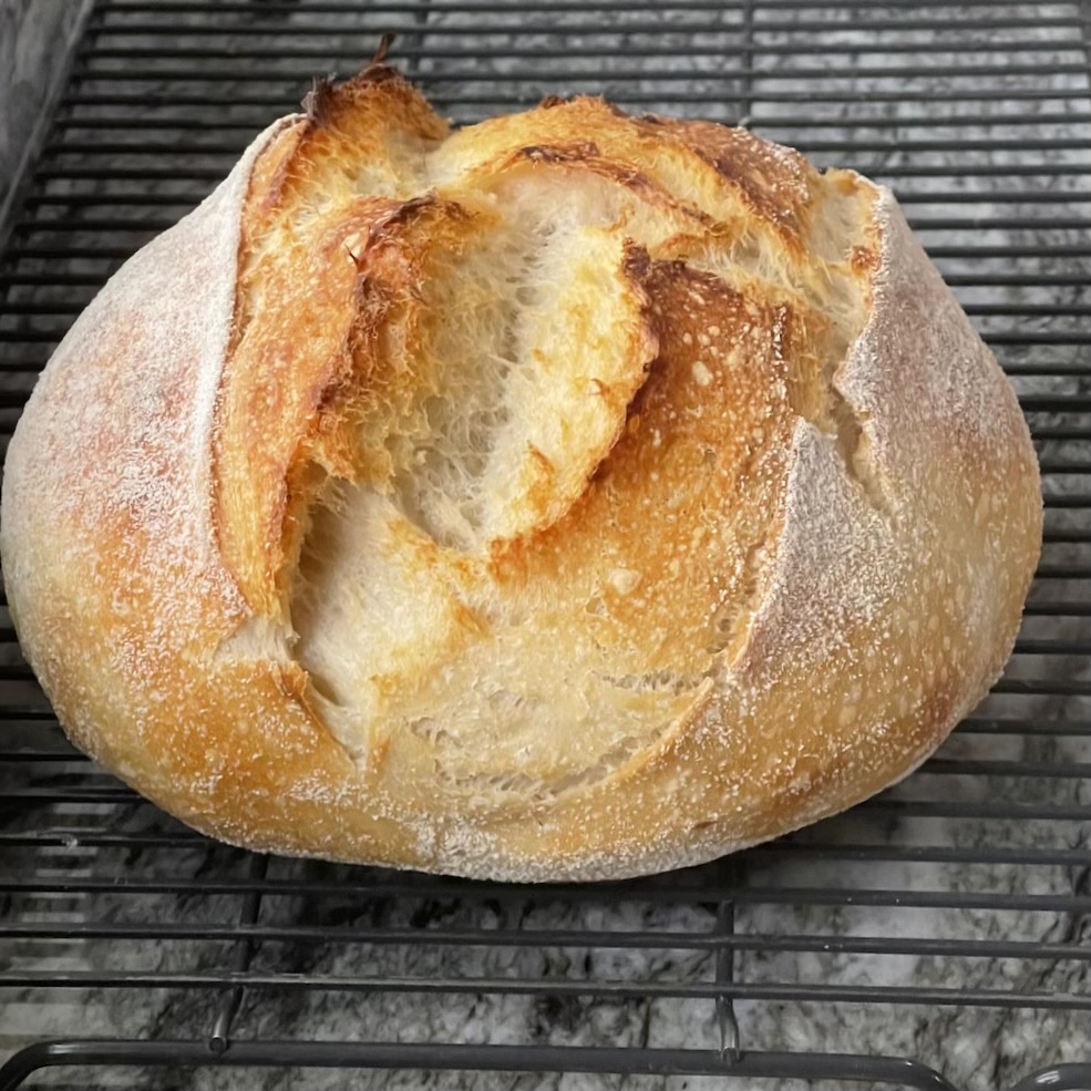 beginner sourdough artisan bread