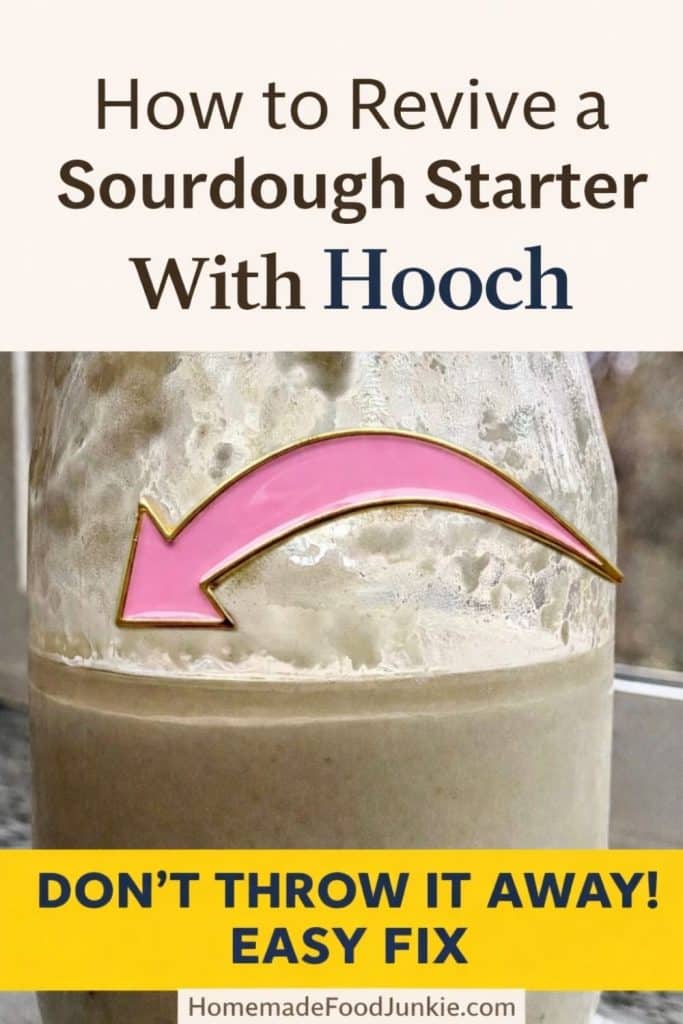 How to Revive a Sourdough Starter