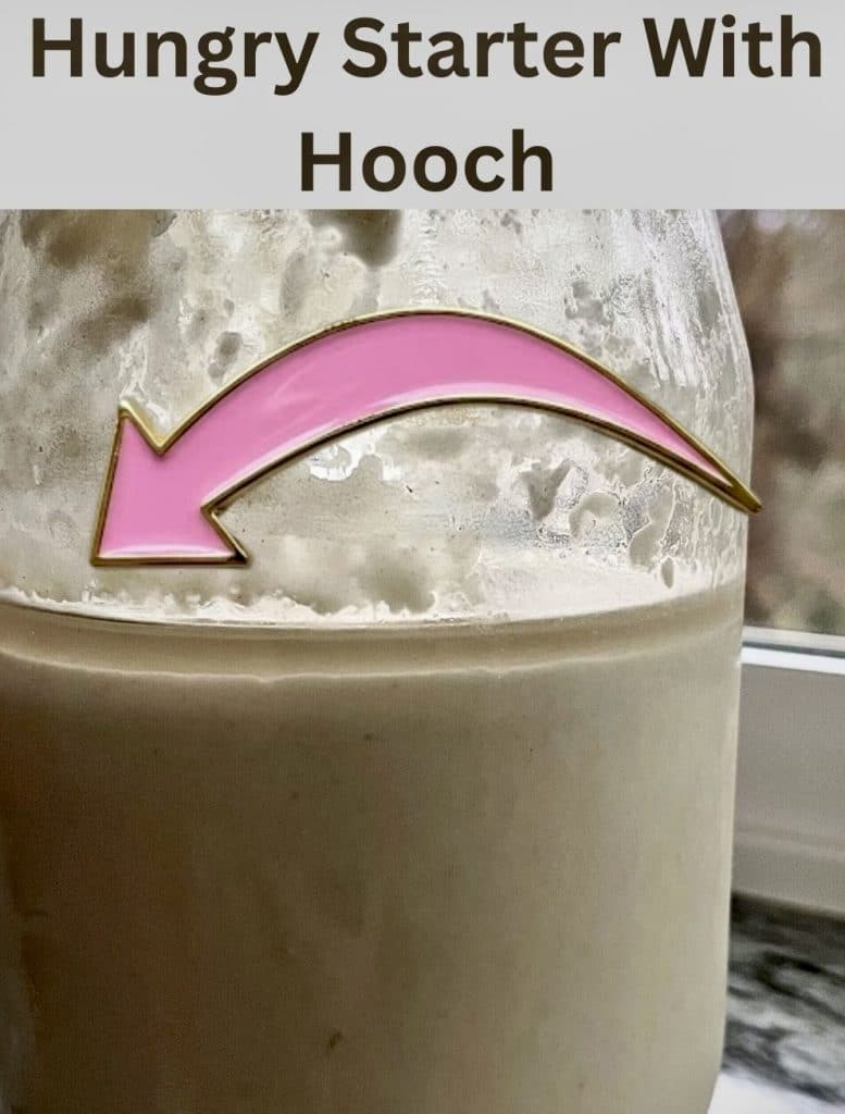 when to revive sourdough starter. This starter has a liquid on top of it called hooch. It's hungry, not dead.