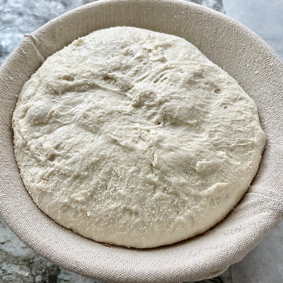 Proofed sourdough dough in a banneton ready for final proof and baking