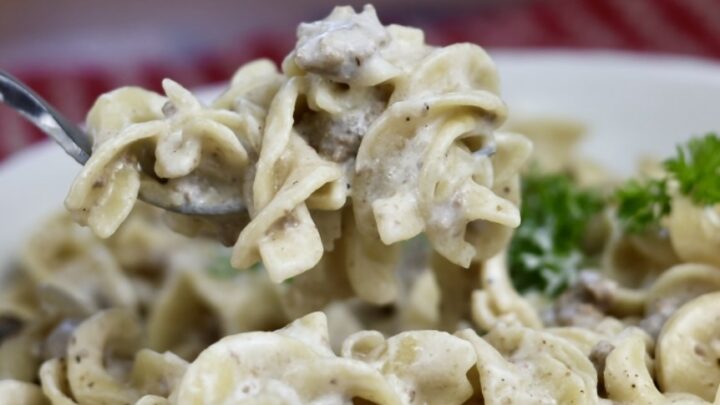 creamy ground beef stroganoff with egg noodles
