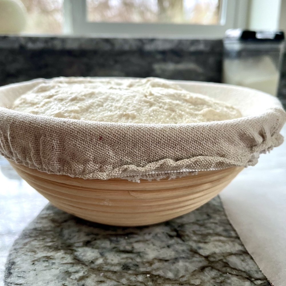 Sourdough dough in a banneton during final proof, looking plump and risen
