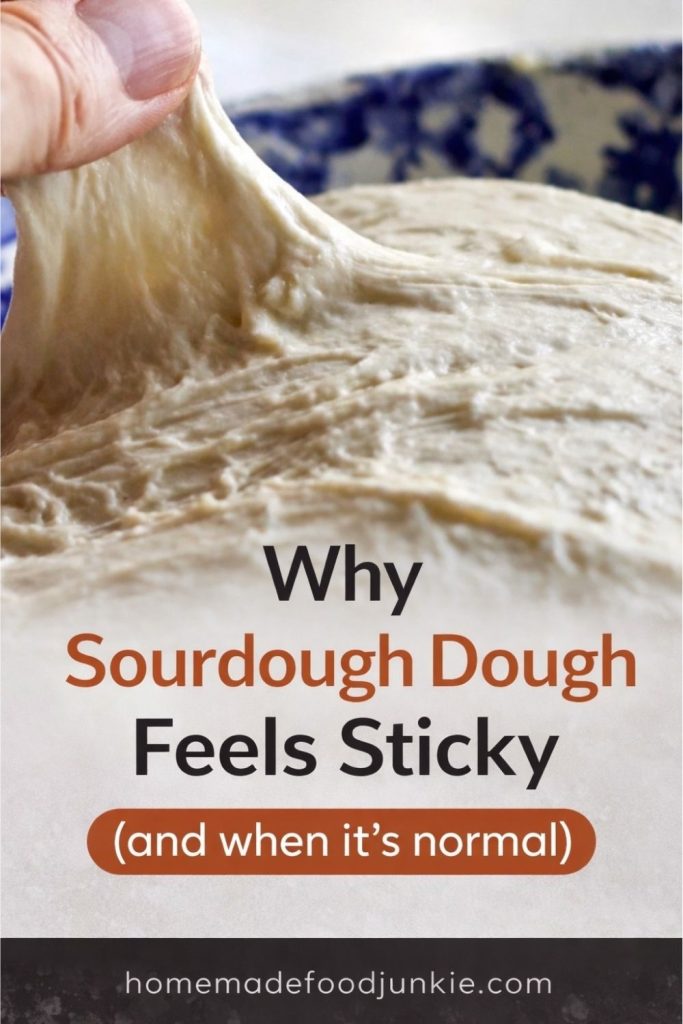 Sourdough Hydration Explained