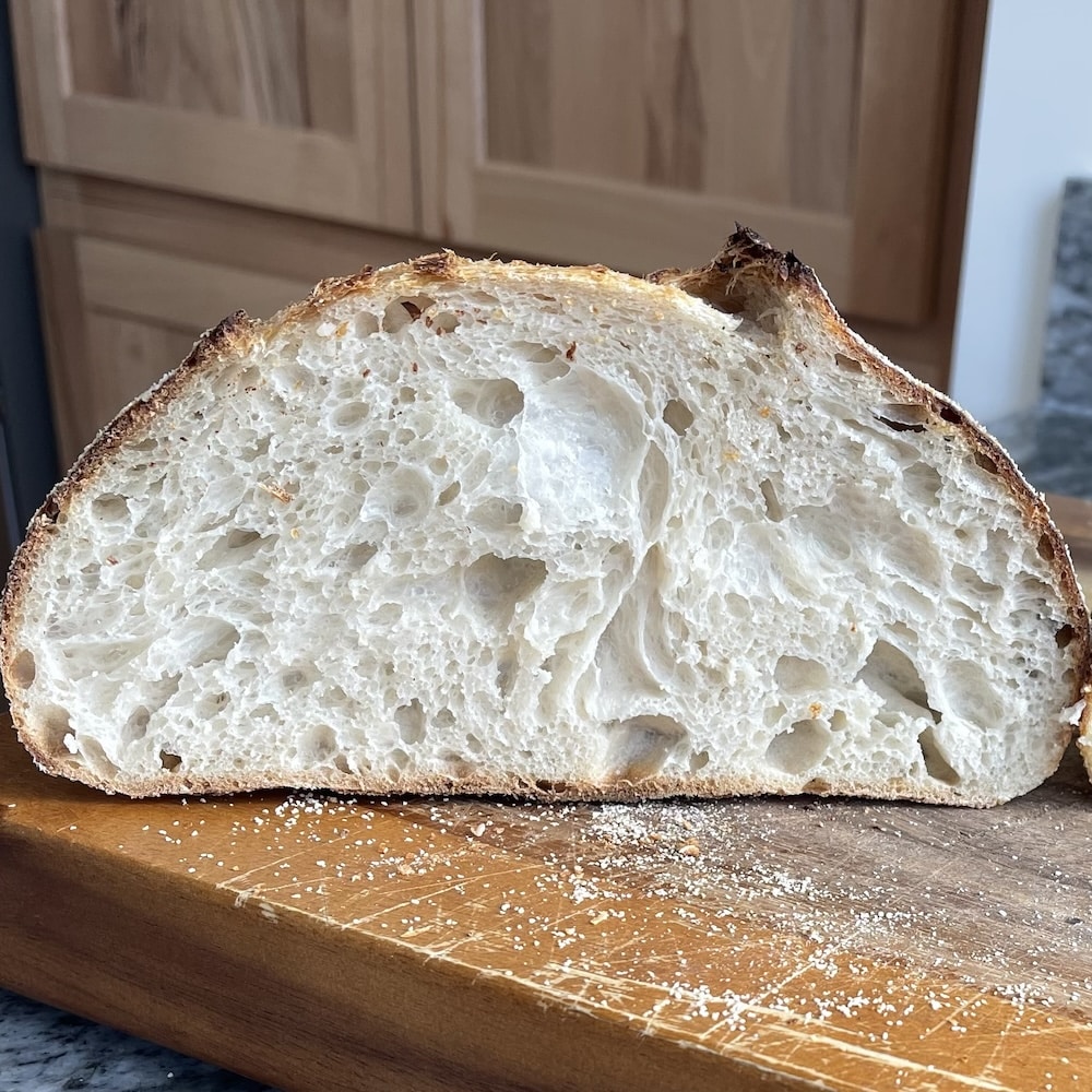 75% hydration open white sourdough bread crumb