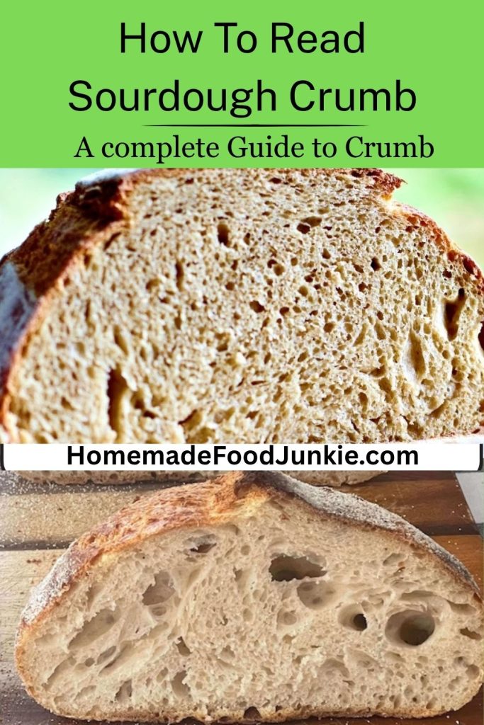 how to read sourdough crumb. pictured two loaves pin image