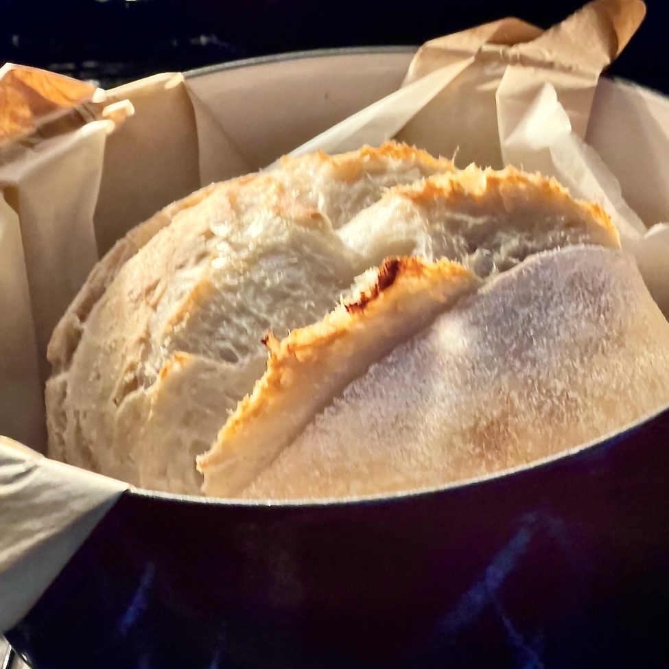 lid off moment in sourdough baking