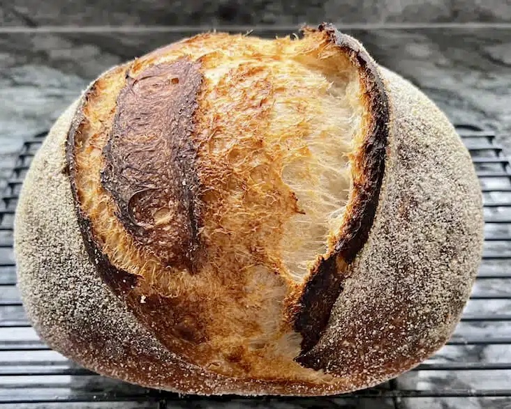 sourdough boule- showing great oven spring and modest ear.