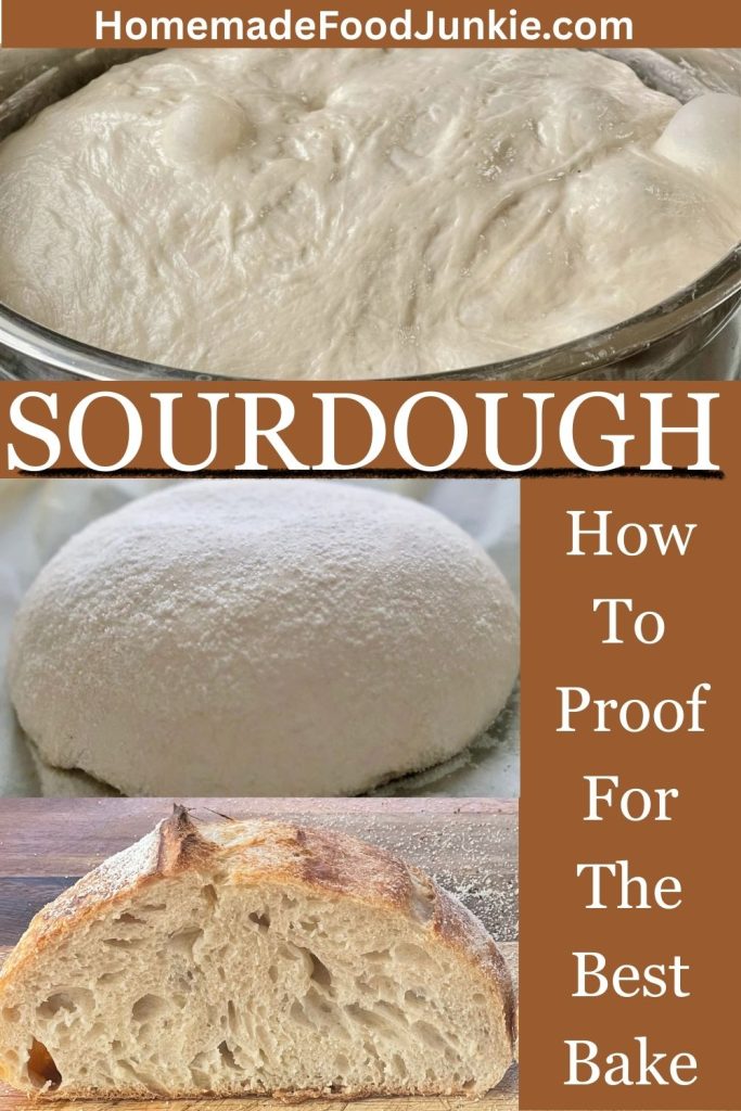 How to Proof Sourdough Bread: Timing, Temperature, and Signs of Under/Overproofing 1 how to proof sourdough for the best bake