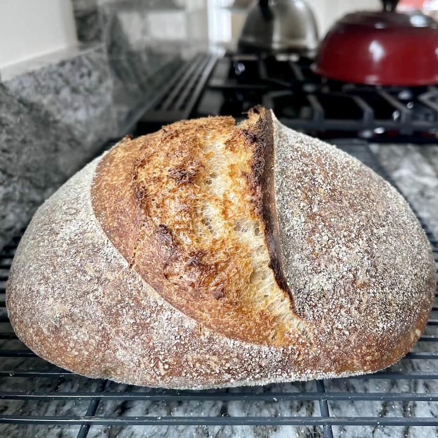 20% spelt blend sourdough bread with single curved central score.