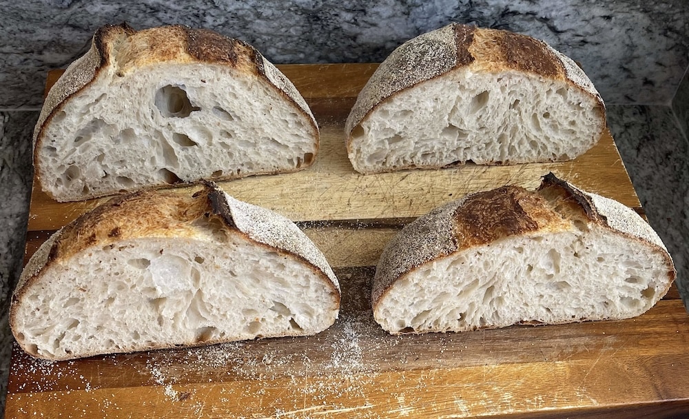 Two sourdough loaves cold proofed overnight showing difference between open crumb and tighter crumb structure