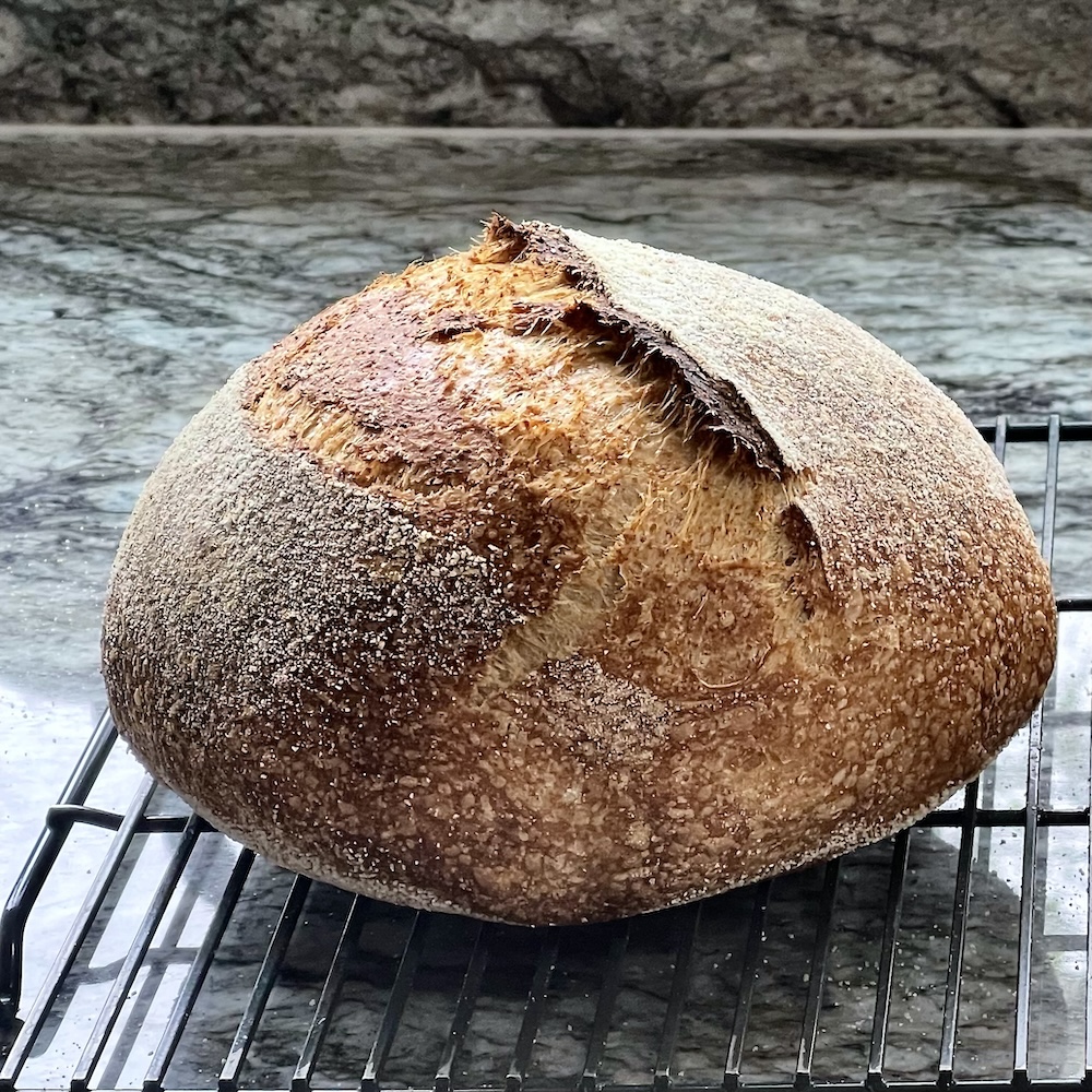 1/3 home milled white whole wheat flour sourdough