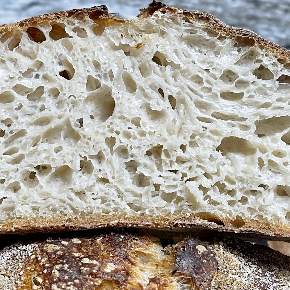 82% hydration bake. 100% bread flour
