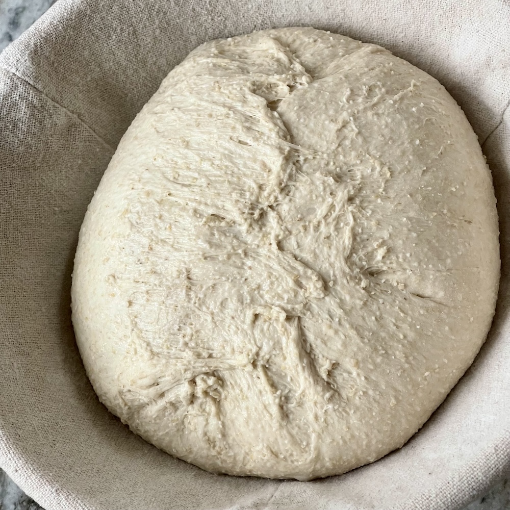 dough shaped and in banneton ready for final proof before score and bake.