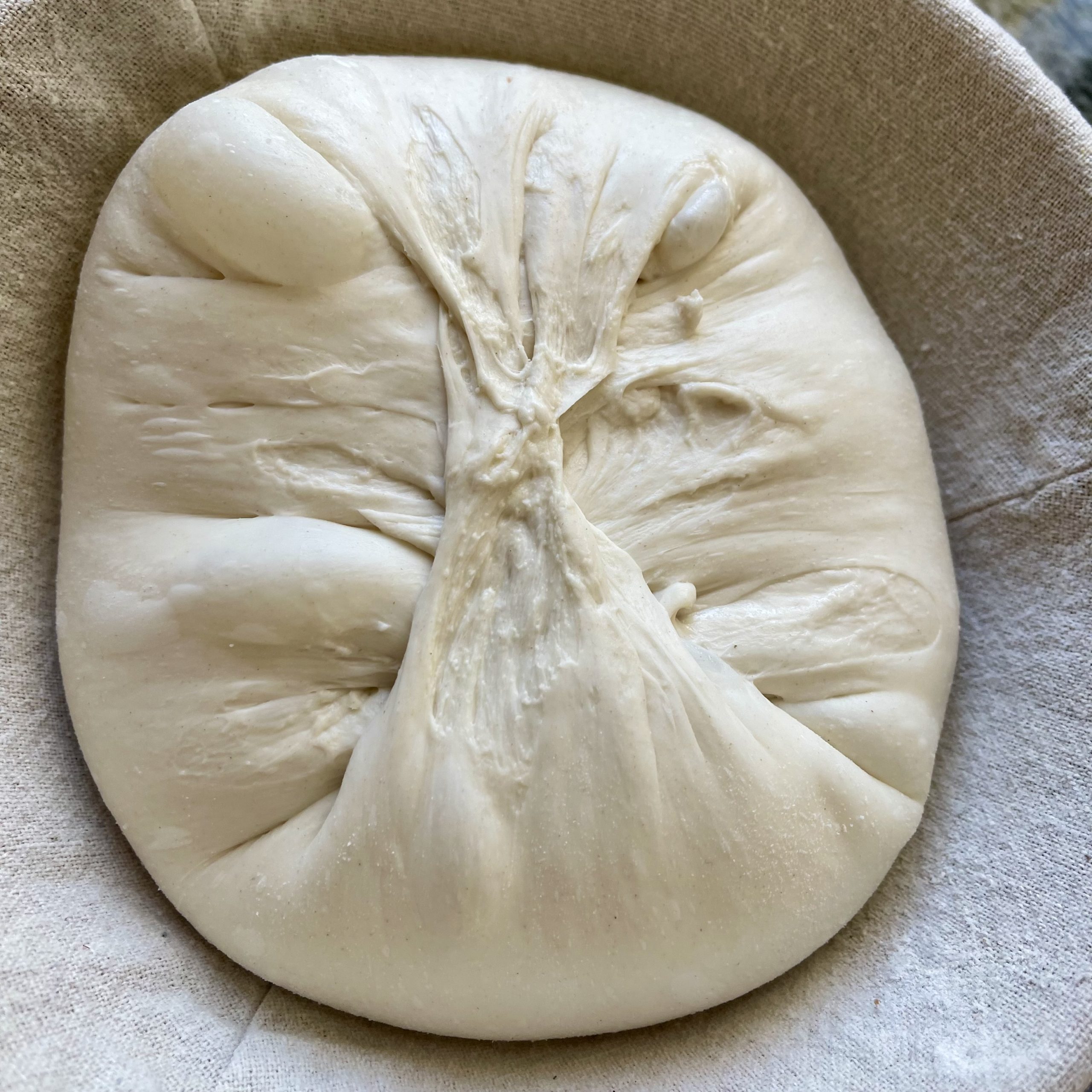dough in banneton. shaping affects crumb structure