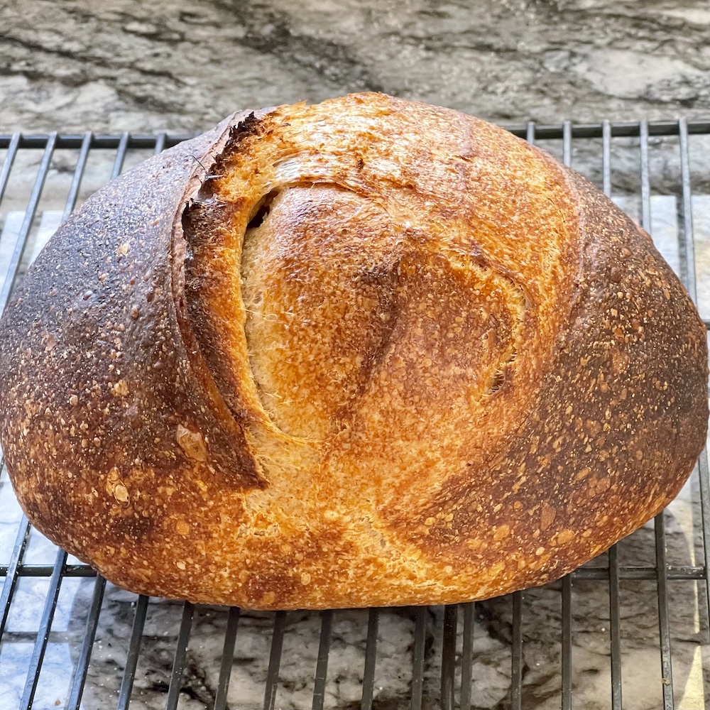 sourdough bread baked boule