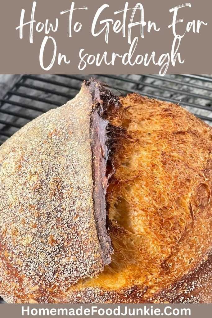 pin image of sourdough ear on a boule