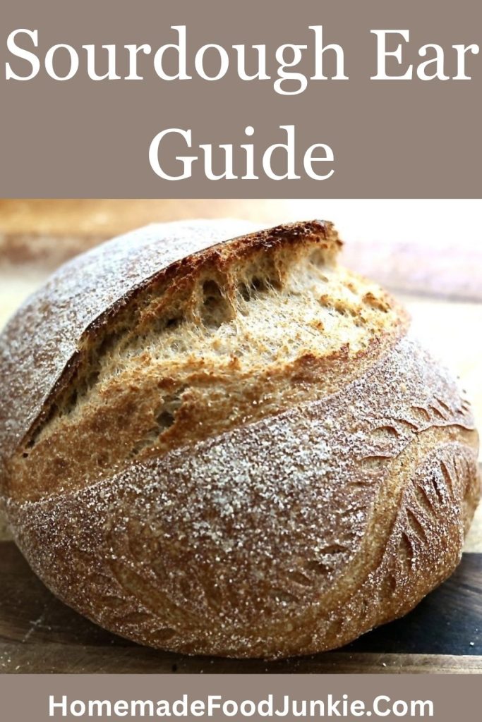 how to get and ear on sourdough pin image