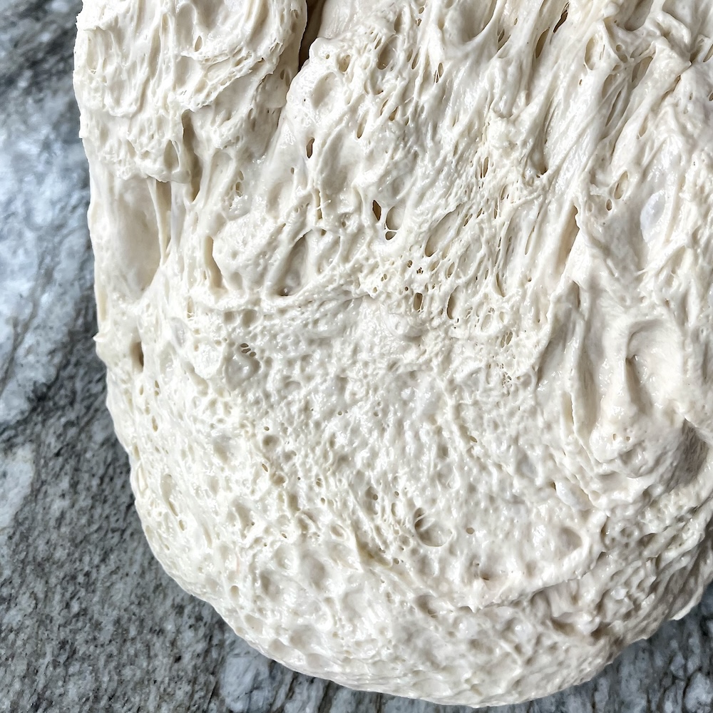raw dough showing structure