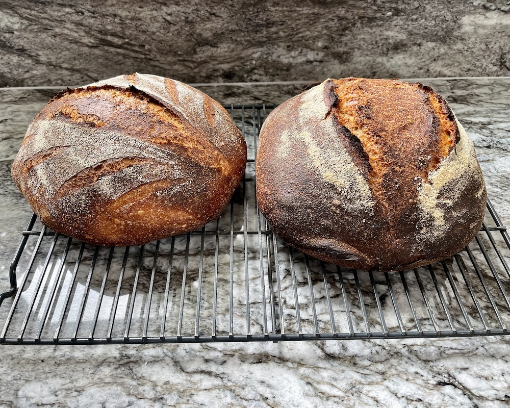 1 loaves of 40% kamut sourdough bread. 