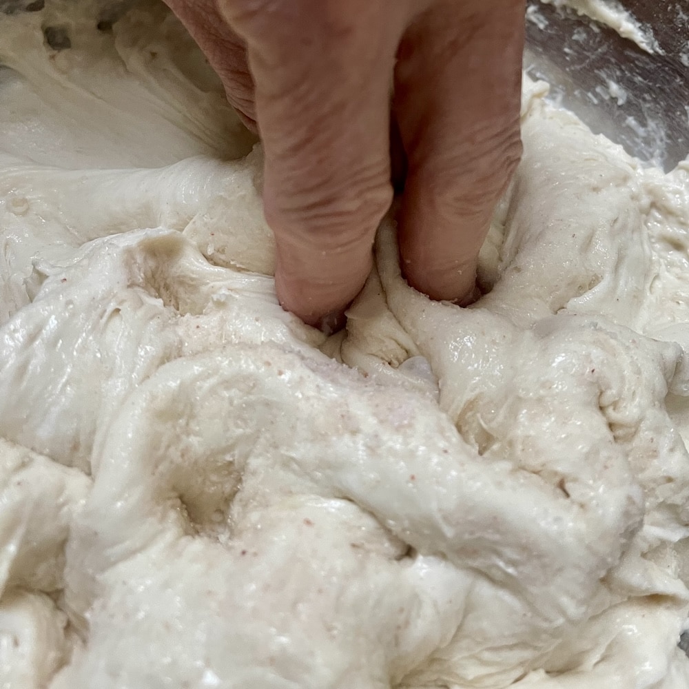 showing fingers dimpling starter and salt into autolysed dough