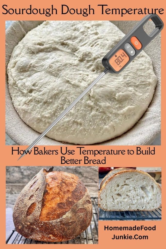 sourdough dough temperature pin image